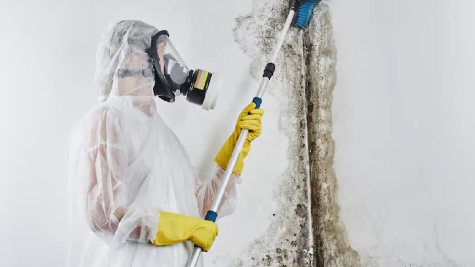 Technician in a full protective suit and respirator treating a moldy wall