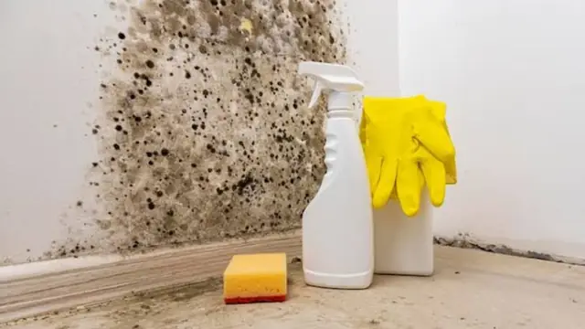 Black mold spotting a wall corner beside cleaning bottles, a sponge and gloves